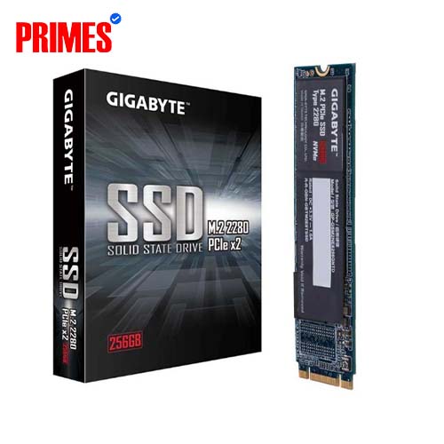 Gigabyte 256GB NVMe M.2 SSD