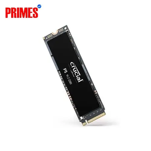 Crucial P5 500GB
