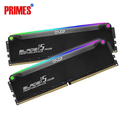 OLOy Enforcer RGB DDR5-6000 (32GB Kit)