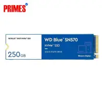 WD Blue SN570 500GB
