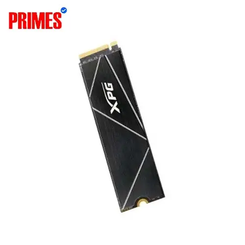 XPG Gammix S70 Blade 2TB