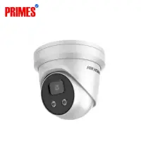 Hikvision DS-2CD3346G2-I 4MP AcuSense Fixed Fisheye Network Camera