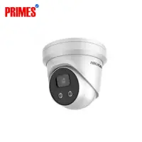 Hikvision DS-2CD3346G2-L 4MP AcuSense Fixed Fisheye Network Camera