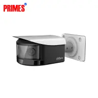 IPC-PFW8600-A180 (Panoramic)