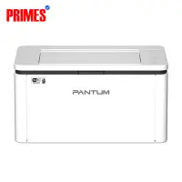 Pantum BP2310W Single Function Mono Laser Printer