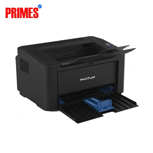 Pantum P2500 Single Function Mono Laser Printer