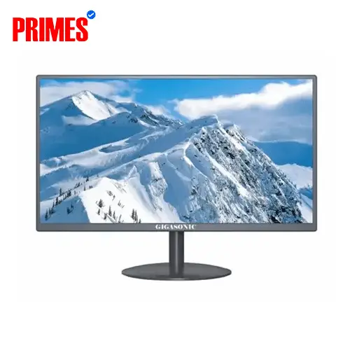 Gigasonic RB-G19S-300C 19" HD LED Monitor