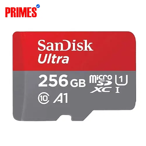 Micro SD Card – 256 GB