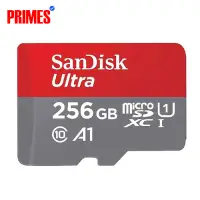 Micro SD Card – 256 GB