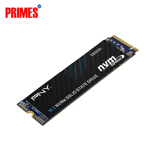 PNY CS1031 256GB M.2 NVMe Solid State Drive